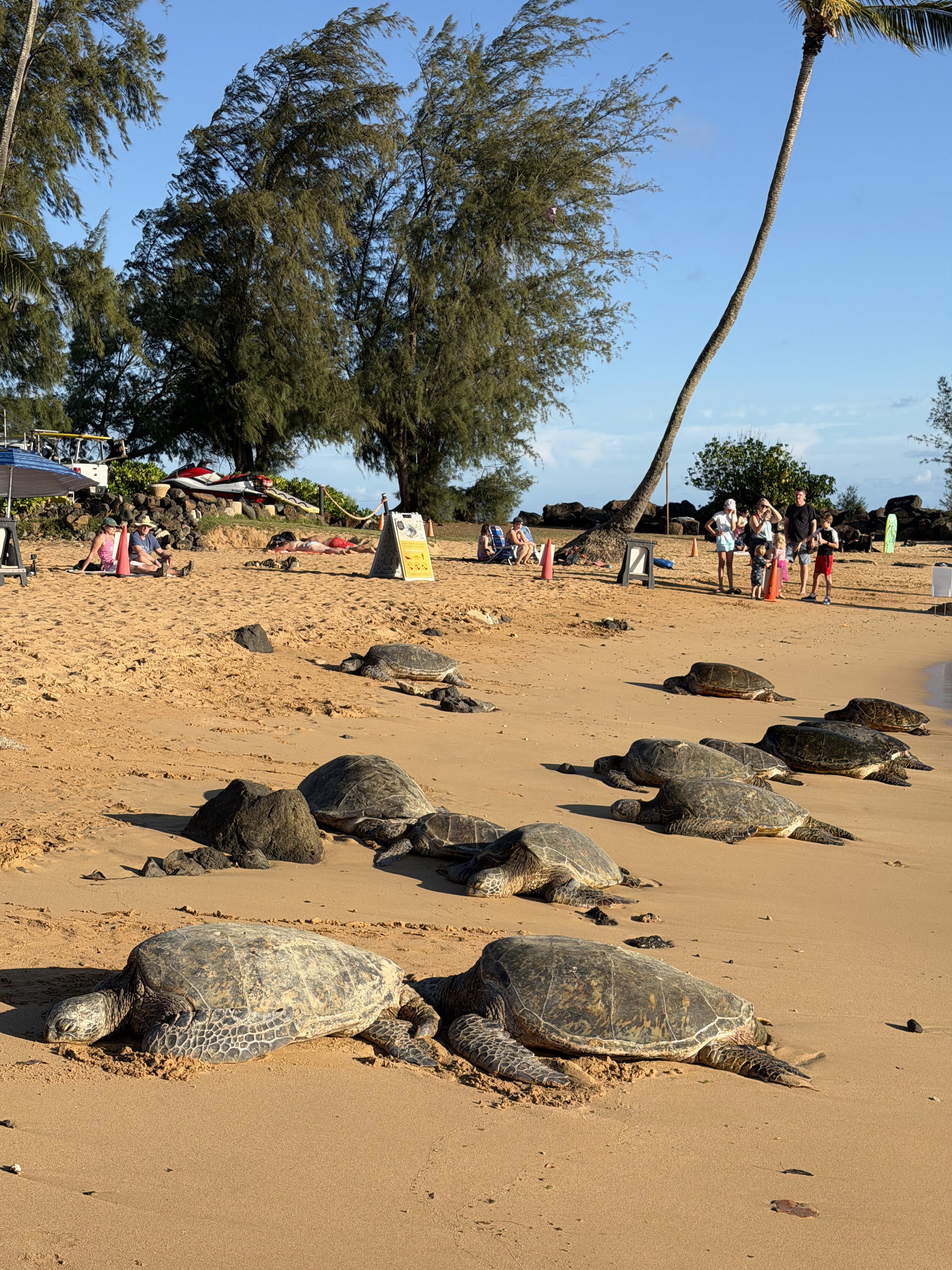 IMG_0322.jpg IMG_0322.jpg